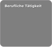 Berufliche Tätigkeit